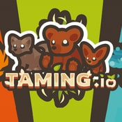 Taming io